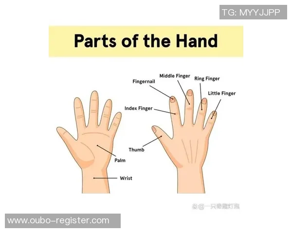 篮球场的英文表达及其在国际交流中的重要性分析